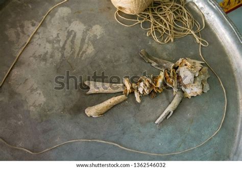 Remaining Human Bone After Cremation By Stock Photo 1362546032