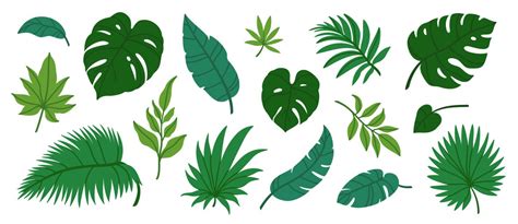 Jungle Leaves Cartoon Background Vector Images (over 6,800)