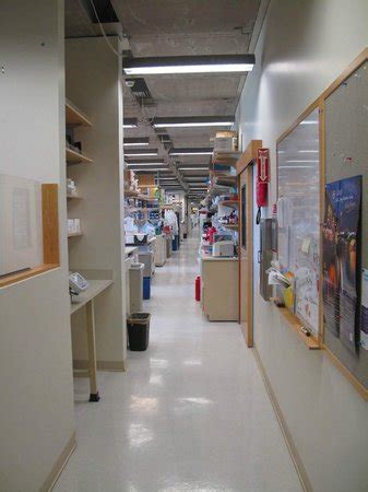 Salk Institute Interior