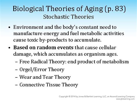 Chapter 3 Theories Of Aging Learning Objectives Identify