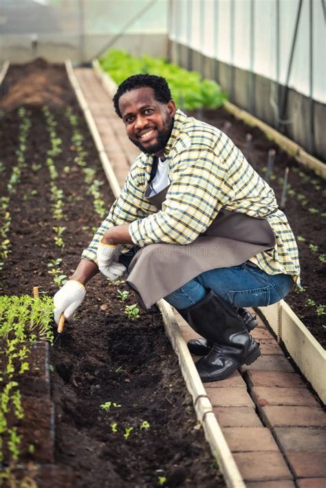 Portrait Of Smiling African Man Farmer Holding Chicken In Farm Stock