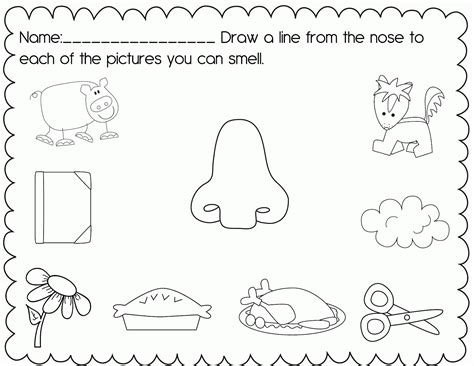 Five Senses Pictures Printables