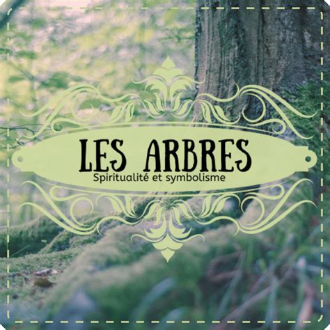 Symbolique Et Vertus Des Arbres