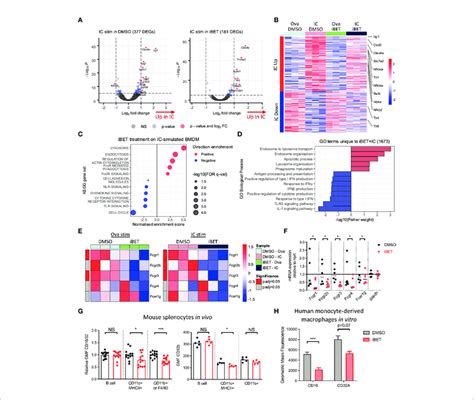 Gene Expression Changes Induced By Fcgr Crosslinking Are Variably