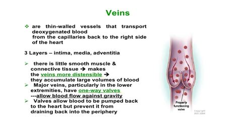 Solution Venous Disorders Ppt Studypool