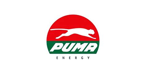 Job Recruitment At Puma Energy - GhnewsbanQ