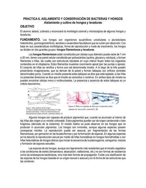 Practica Manual Practica Aislamiento Y Conservaci N De