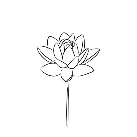 The lotus flower is drawn with a line. Water lily isolate. Doodle ...