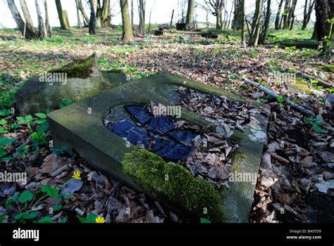 Abandoned Cemetery Castolovice Ceska Lipa Czech Republic The