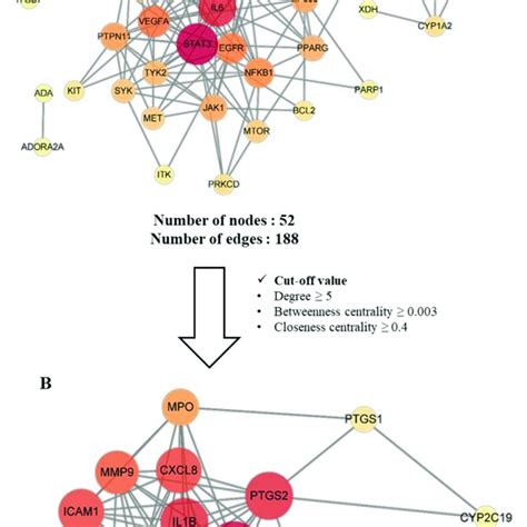 Protein Protein Interaction Ppi Networks A Ppi Network Of