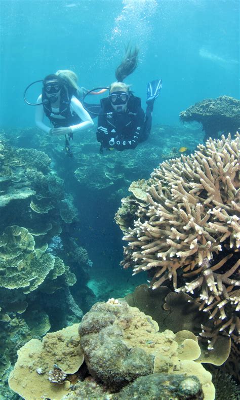 Cairns Great Barrier Reef Tours Non Swimmers Families Pontoon