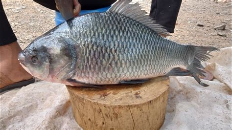 Catla And Rohu Fish Live Fish Cutting Catla Fish Skinless Cutting