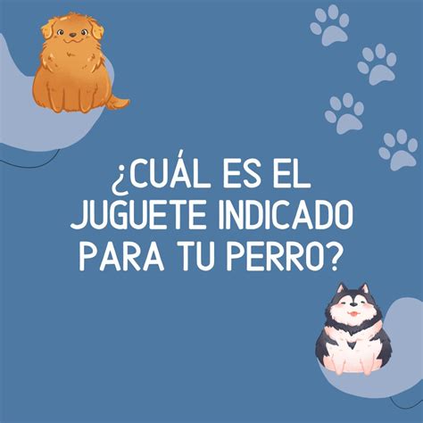 Explor Plantilla De Mascotas Personalizables Gratis Canva