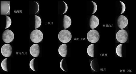 月亮周期 Lunar Cycles 占星术语 若道占星