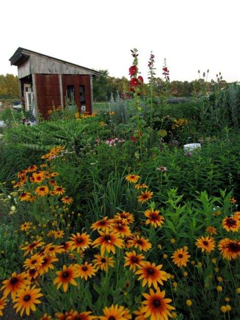 flower picking farms near me - Vida Stuart