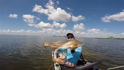 How To Catch Redfish Youtube