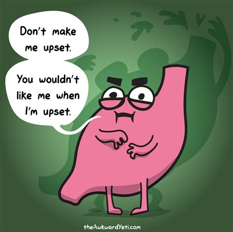 Pancreas Cartoon ~ Pancreas Images, Stock Photos & Vectors | Labsrisice