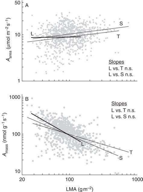 Regression Relationships Between Leaf Mass Per Area Lma And A