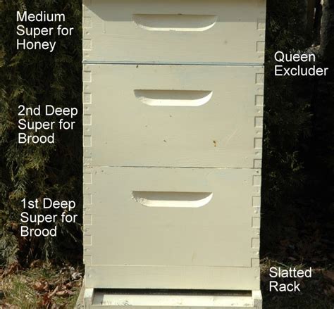 Access Free Langstroth Beehive Plans Wood Project