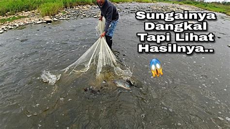 Rejeki Jala Baru Jala Ikan Di Sungai Dangkal Isinya Ikan Nila Babon