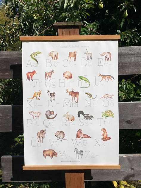 Animal Alphabet Poster - Etsy