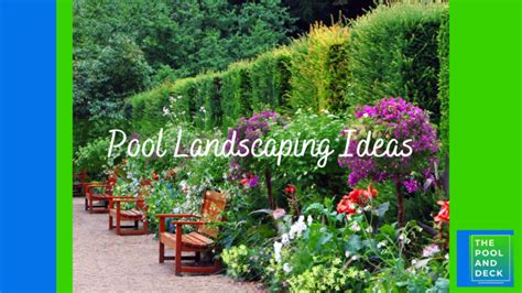 11 Pool Landscaping Ideas That Are Simple & Affordable!