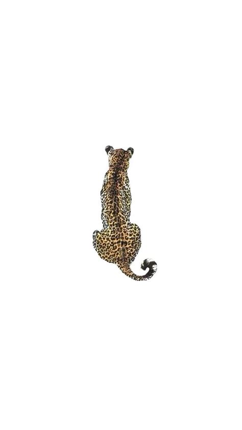 Leopard Iphone Backround 😙 In 2024 Cheetah Print Background Leopard