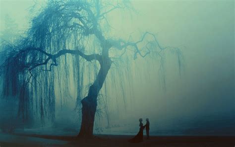 Weeping Willow Tree Wallpaper