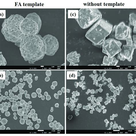 PDF Synthesis Of Hollow Calcium Carbonate Microspheres By A Template