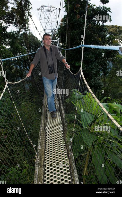 Nyungwe Canopy Walk Parque Nacional Del Bosque De Nyungwe Rwanda