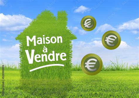 Maison Vendre Affichage Signalisation Sur Fond Herbe Et Ciel Bleu