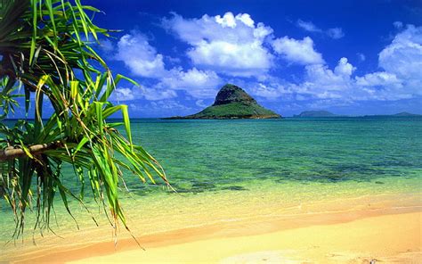 Hd Wallpaper Chinamans Hat Oahu Hawaii Desktop Wallpaper