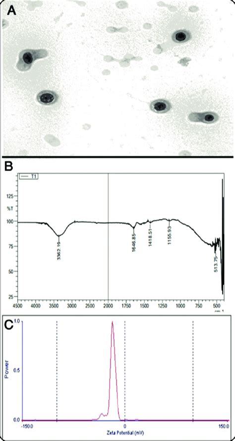 Photographs Show Morphological And Structural Characterization Of