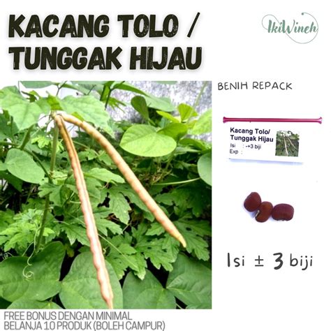 Jual C Benih Kacang Tolo Tunggak Hijau Repack Isi Biji