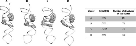 Novel Inhibitors Of Sars Cov Rna Identified Through Virtual Screening