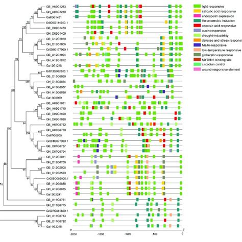 Cis Acting Regulatory Elements Analysis Of Cotton Ugd Genes