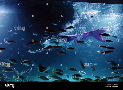 Sunshine aquarium tokyo lagoon hi-res stock photography and images - Alamy