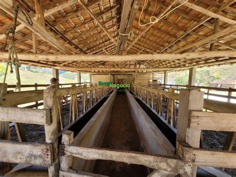 Fazenda S Tio Na Rua Dom Bosco Sn Centro Em Lorena Por R