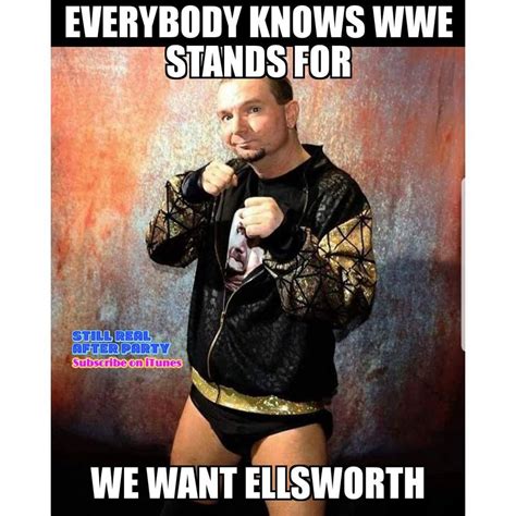 Pin By Loosecannon90 On Wrestling Memes Wrestling Memes Wwe Wwe