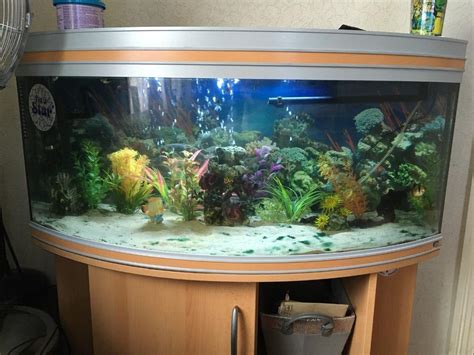 3ft bow front fish tank | in Pontypridd, Rhondda Cynon Taf | Gumtree