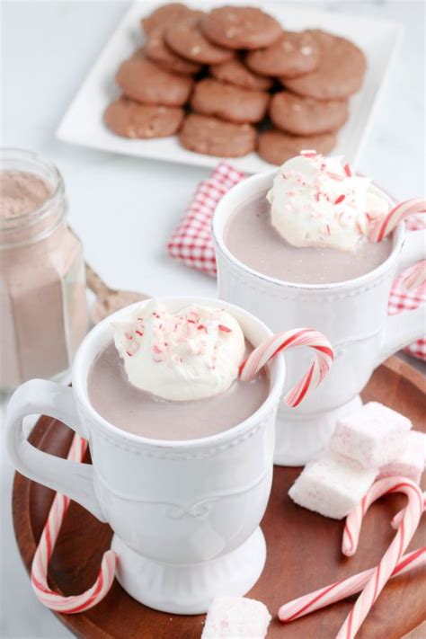 The Best Copycat Starbucks Peppermint Hot Cocoa Mix Recipe Kids