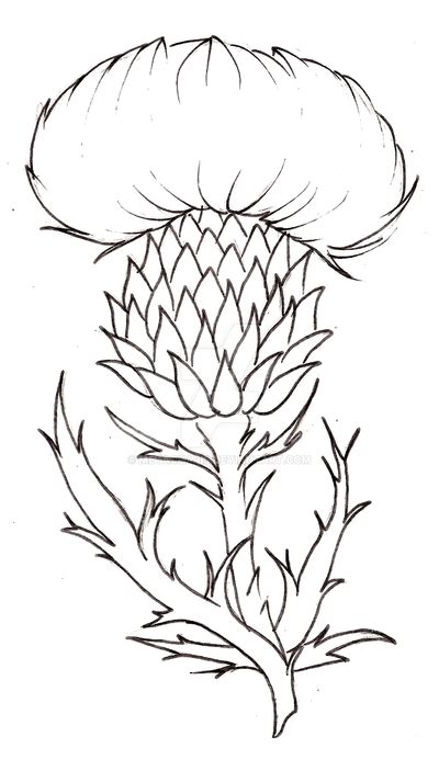 Thistle Flower Tattoo by Metacharis on DeviantArt