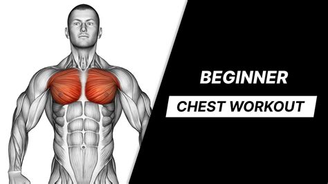 Beginner Chest Workout Build A Bigger Chest 🔥💪 By Workout Inspiration Medium