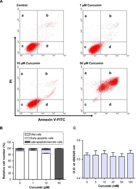 Apoptosis Necrosis Was Evaluated Using Annexin V Fluorescein