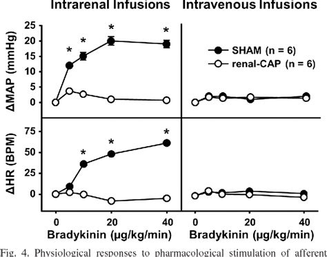 Figure 1 From A Novel Method Of Selective Ablation Of Afferent Renal