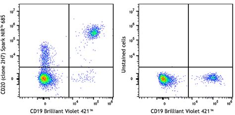 Pacific Blue Anti Human Cd1c Antibody Anti Cd1c L161