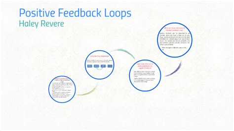 Feedback Loop Examples