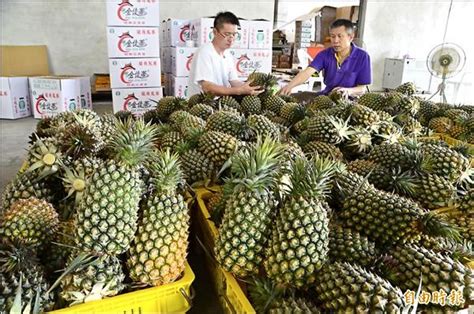 嚴控管好口碑 關廟鳳梨供不應求 地方 自由時報電子報