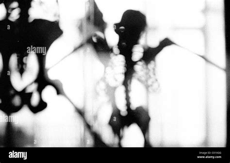 Anatomy, abstract, blurry skeletons Stock Photo - Alamy