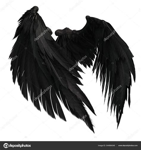 Pair Isolated Black Angel Style Wings Feathers White Background